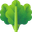 Spinach